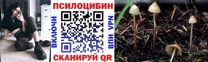 Галлюциногенные грибы Cubensis Новосокольники